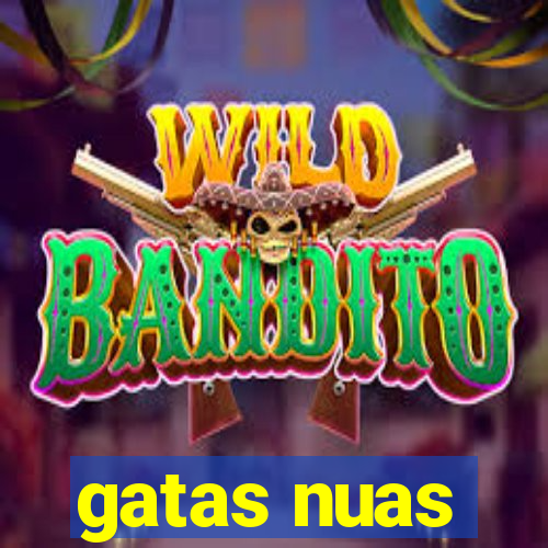 gatas nuas